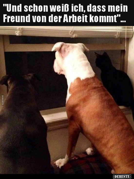 "Und schon weiß ich, dass mein Freund von der Arbeit.."