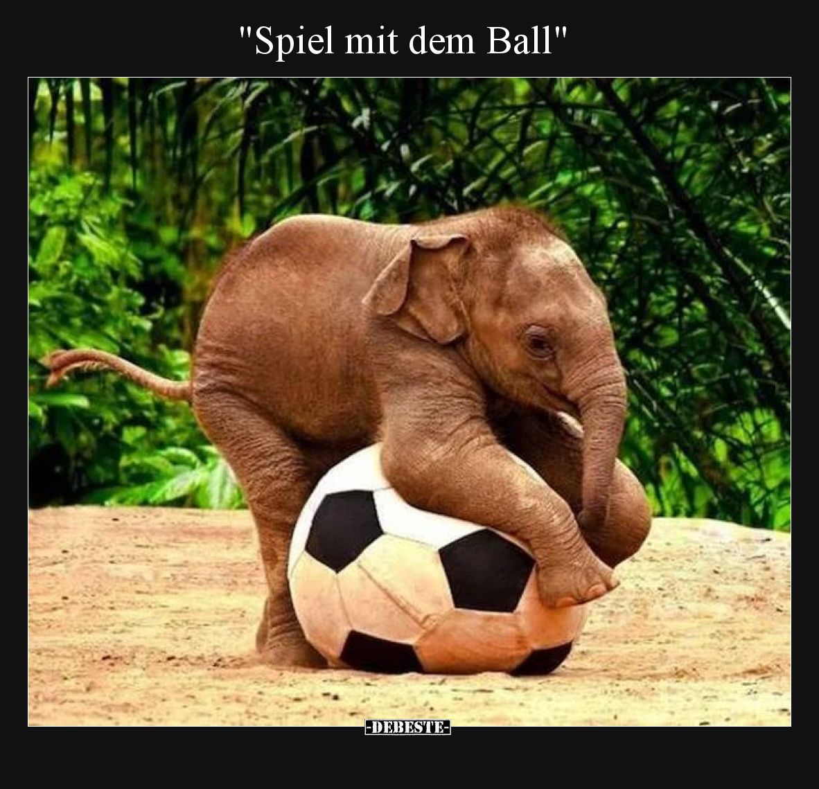 Spiel mit dem Ball