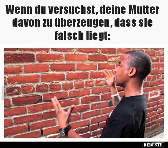 Wenn du versuchst, deine Mutter davon zu überzeugen.. - Lustige Bilder | DEBESTE.de