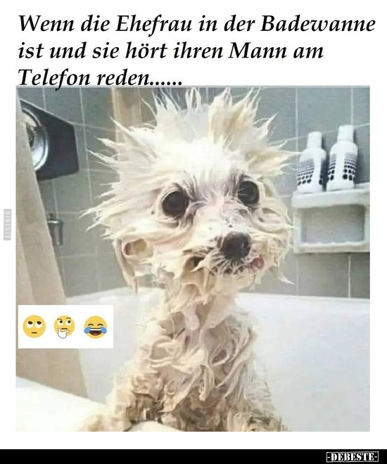 Wenn die Ehefrau in der Badewanne ist und sie hört ihren.. - Lustige Bilder | DEBESTE.de
