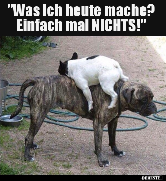 ”Was ich heute mache? Einfach mal NICHTS!"..