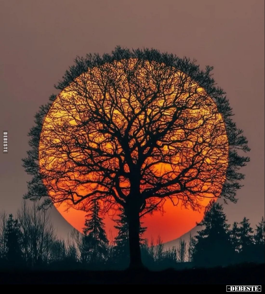  - Lustige Bilder | DEBESTE.de