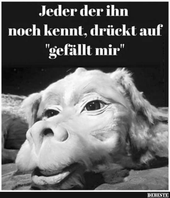 Jeder der ihn noch kennt, drückt auf..