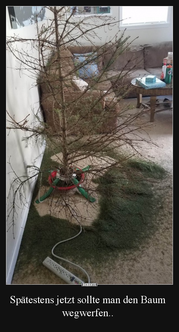 Spätestens jetzt sollte man den Baum wegwerfen..