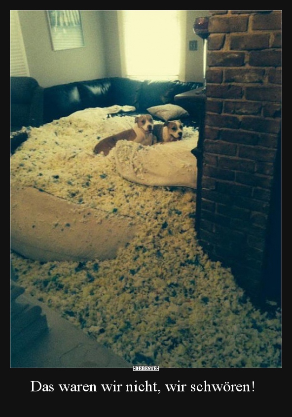 Das waren wir nicht, wir schwören!
