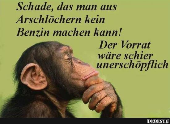 Schade, das man aus...