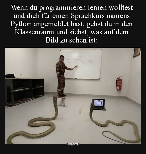 Wenn du programmieren lernen wolltest und dich für einen.. - Lustige Bilder | DEBESTE.de