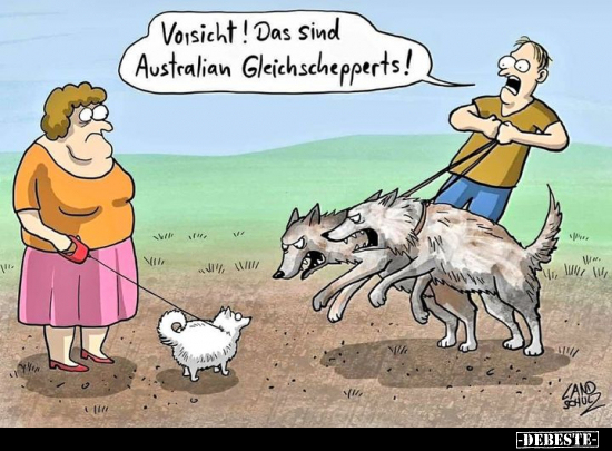 Vorsicht! Das sind Australian Gleichschepperts!.. - Lustige Bilder | DEBESTE.de