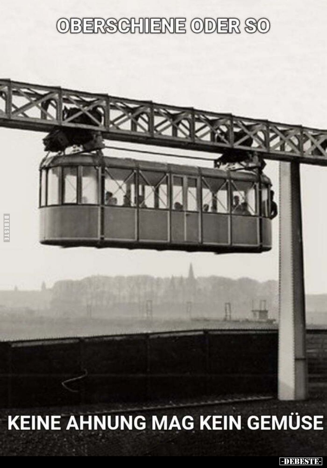 Oberschiene oder so
keine Ahnung mag kein Gemüse.