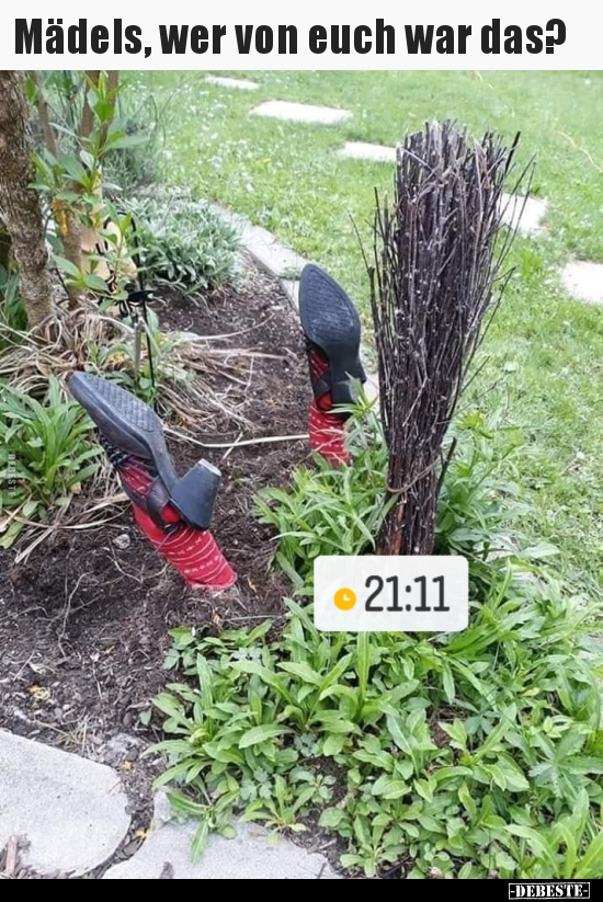 Mädels, wer von euch war das?..