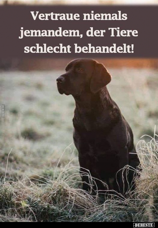 Vertraue niemals jemandem, der Tiere schlecht behandelt.. - Lustige Bilder | DEBESTE.de