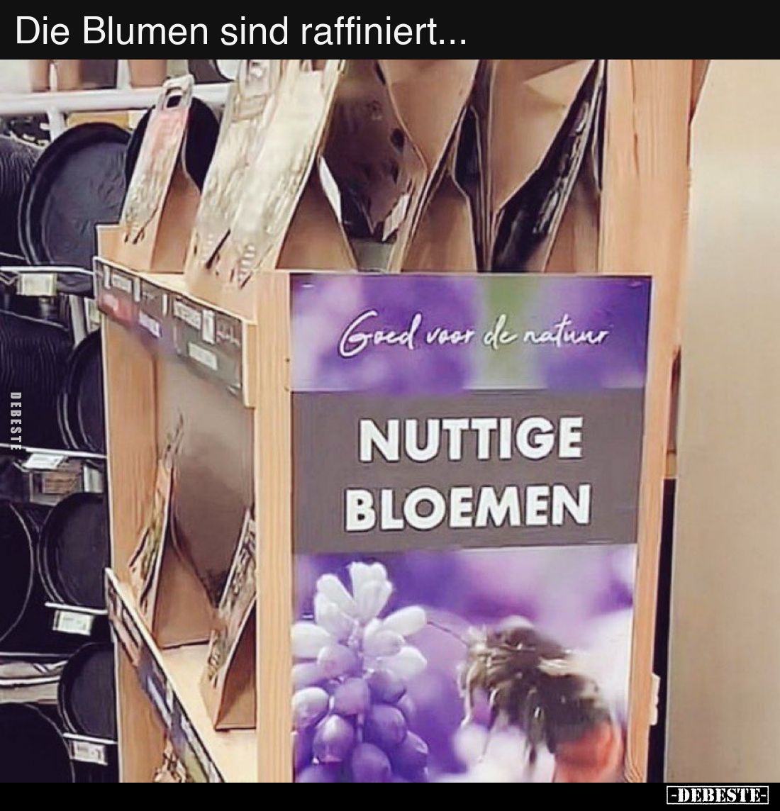 Die Blumen sind raffiniert...