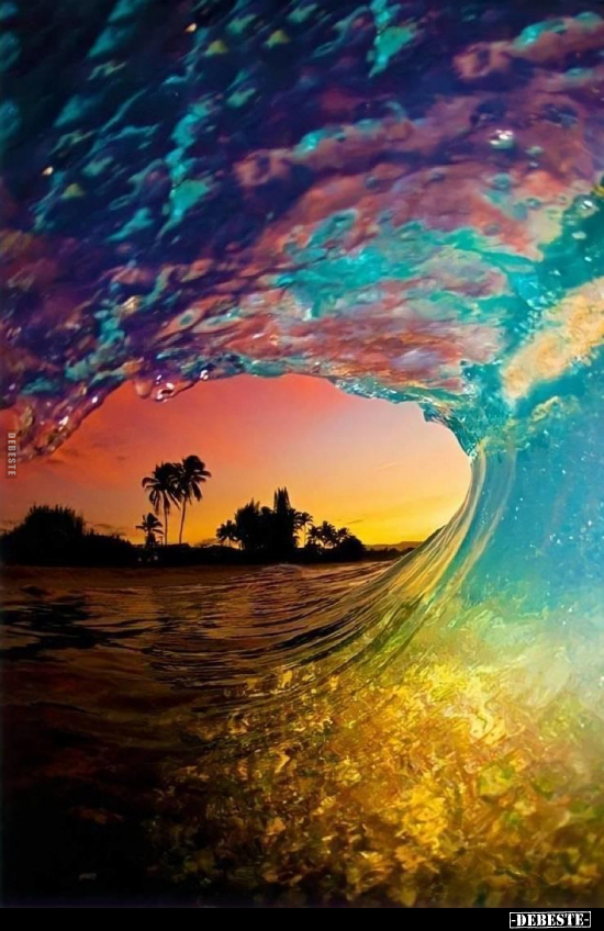  - Lustige Bilder | DEBESTE.de