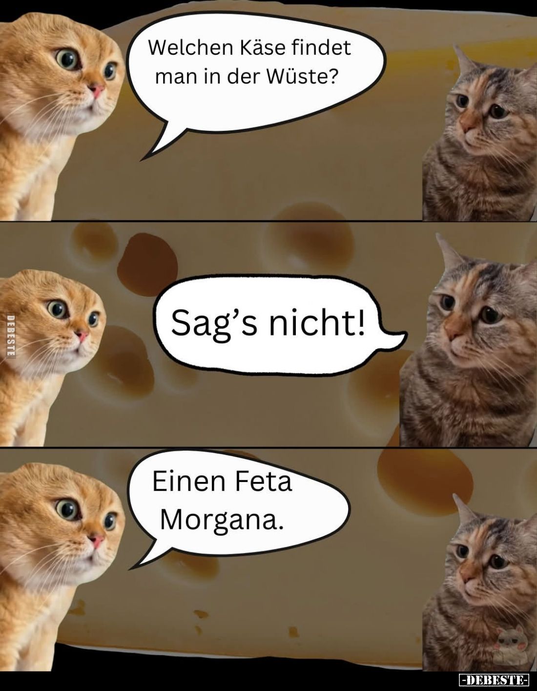 Welchen Käse findet
man in der Wüste?

Sag's nicht!

Einen Feta
Morgana.