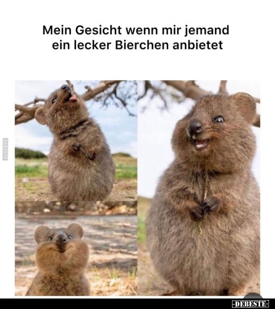 Mein Gesicht wenn mir jemand ein lecker Bierchen.. - Lustige Bilder | DEBESTE.de