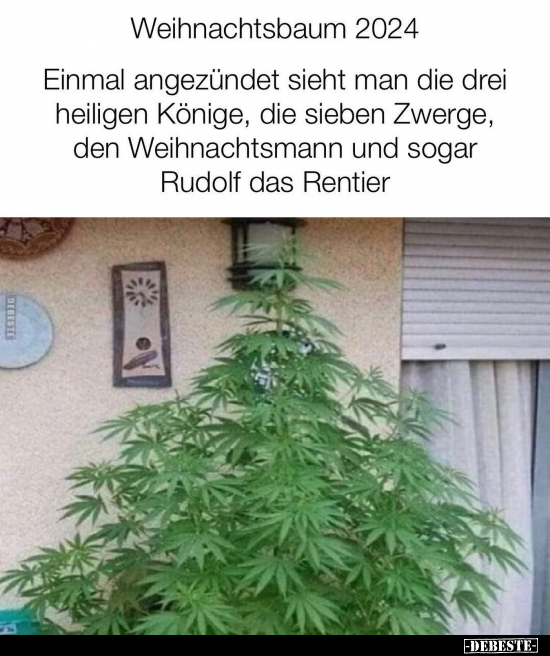 Weihnachtsbaum 2024.. - Lustige Bilder | DEBESTE.de