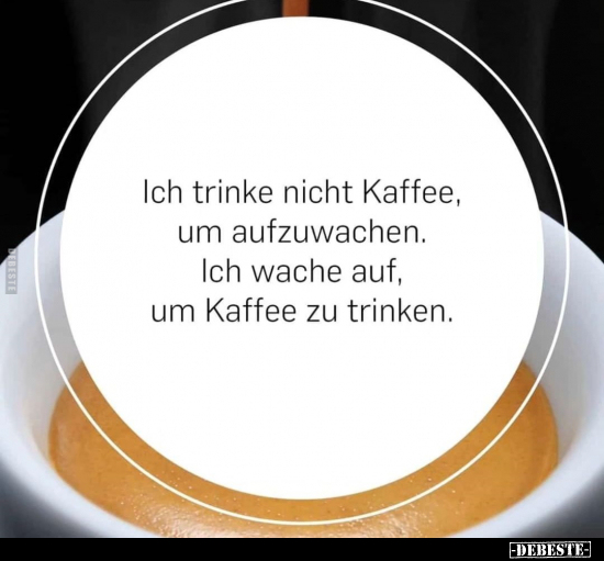 Ich trinke nicht Kaffee, um aufzuwachen.. - Lustige Bilder | DEBESTE.de