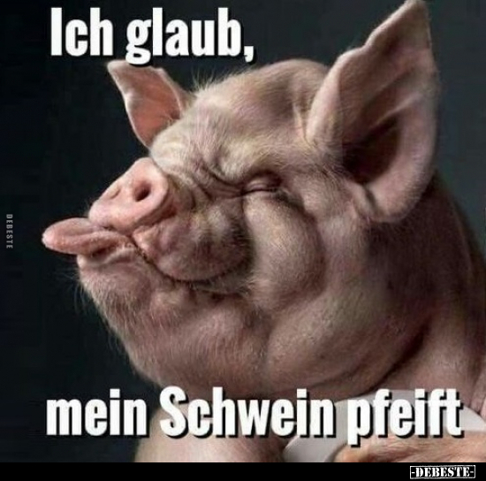 Ich glaub, mein Schwein pfeift... - Lustige Bilder | DEBESTE.de