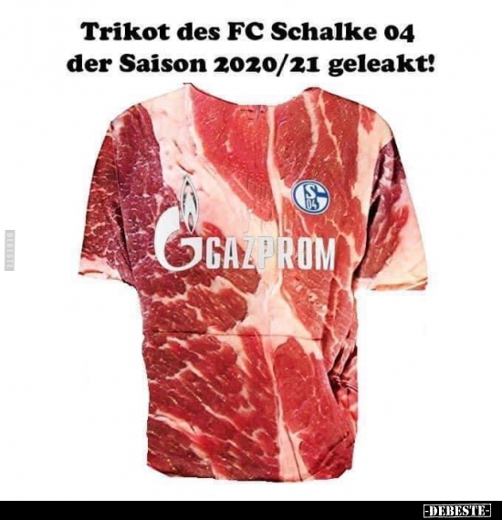 Trikot Des Fc Schalke 04 Der Saison 2020 21 Geleakt Lustige Bilder Spruche Witze Echt Lustig