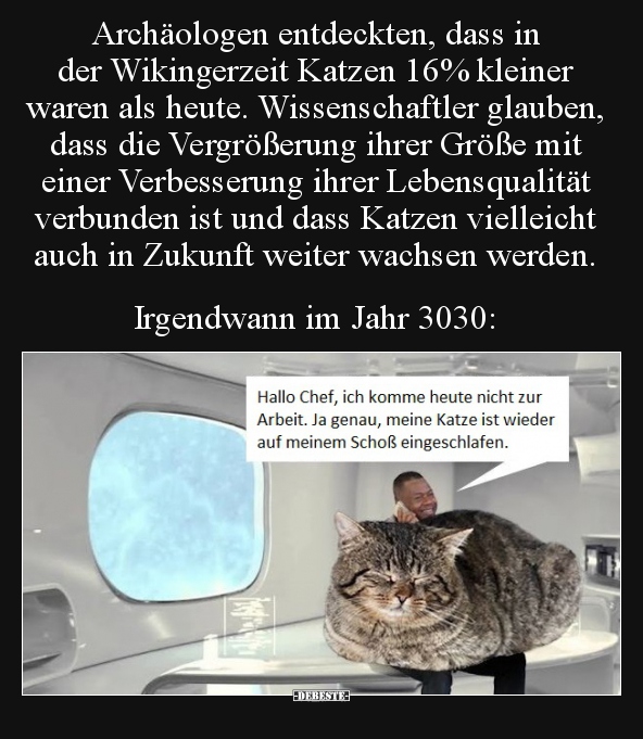 Archäologen entdeckten, dass in der Wikingerzeit Katzen.. - Lustige Bilder | DEBESTE.de