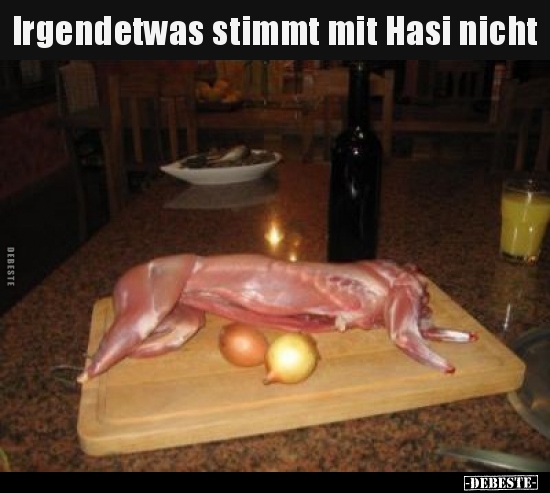 Irgendetwas stimmt mit Hasi nicht.. - Lustige Bilder | DEBESTE.de