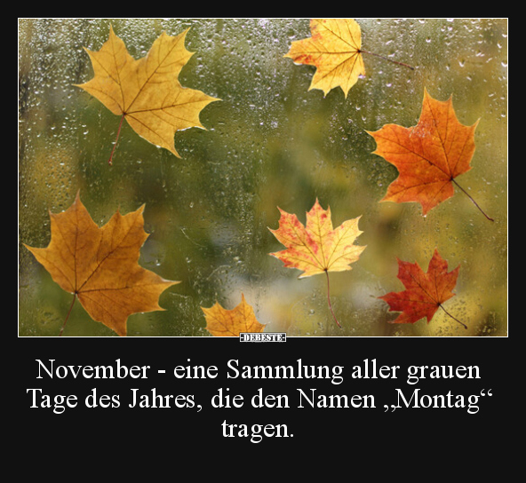 November - eine Sammlung aller grauen Tage des Jahres, die.. - Lustige Bilder | DEBESTE.de