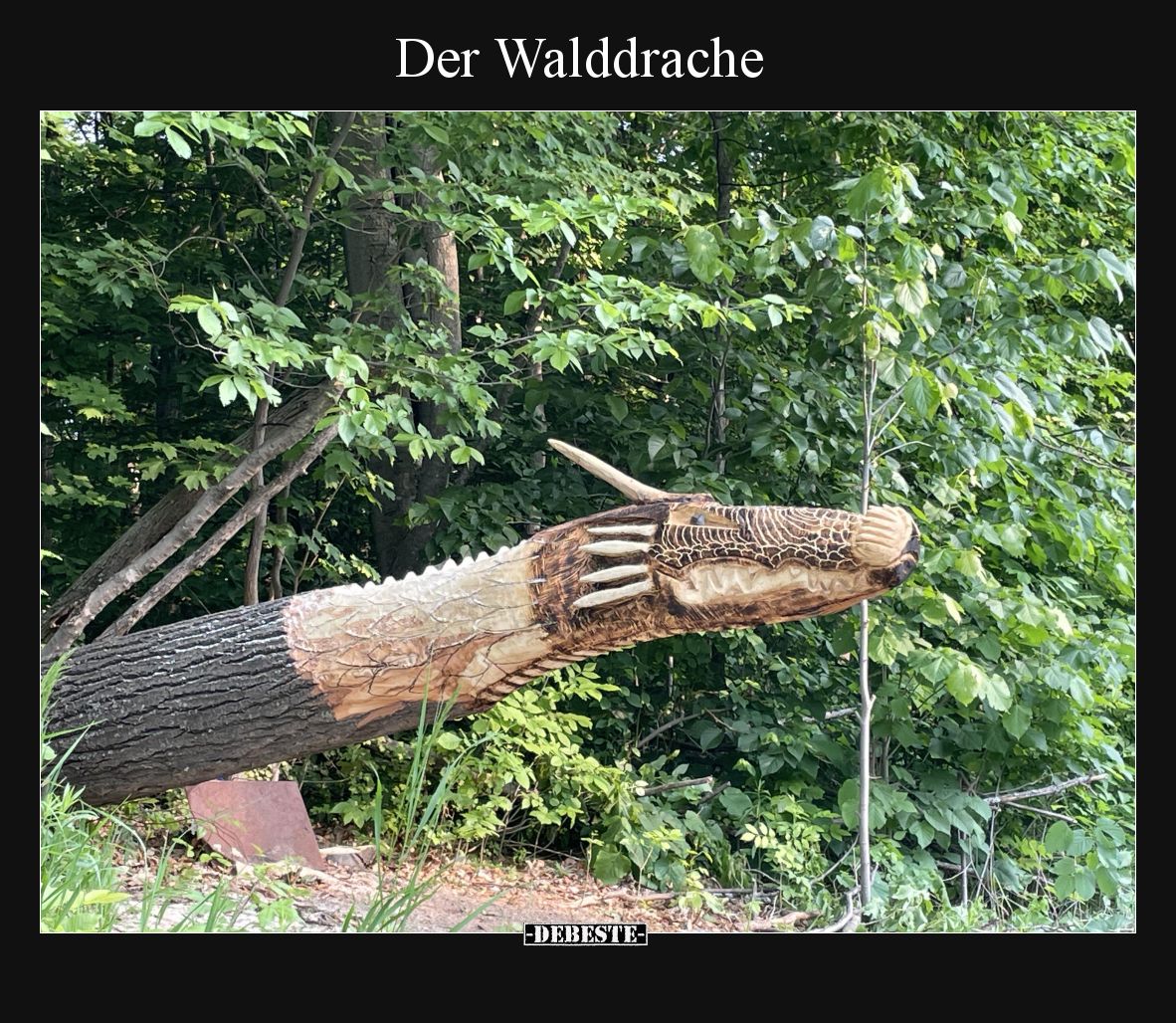Der Walddrache