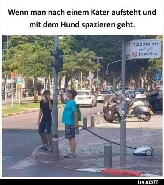Wenn man nach einem Kater aufsteht und mit dem Hund.. - Lustige Bilder | DEBESTE.de