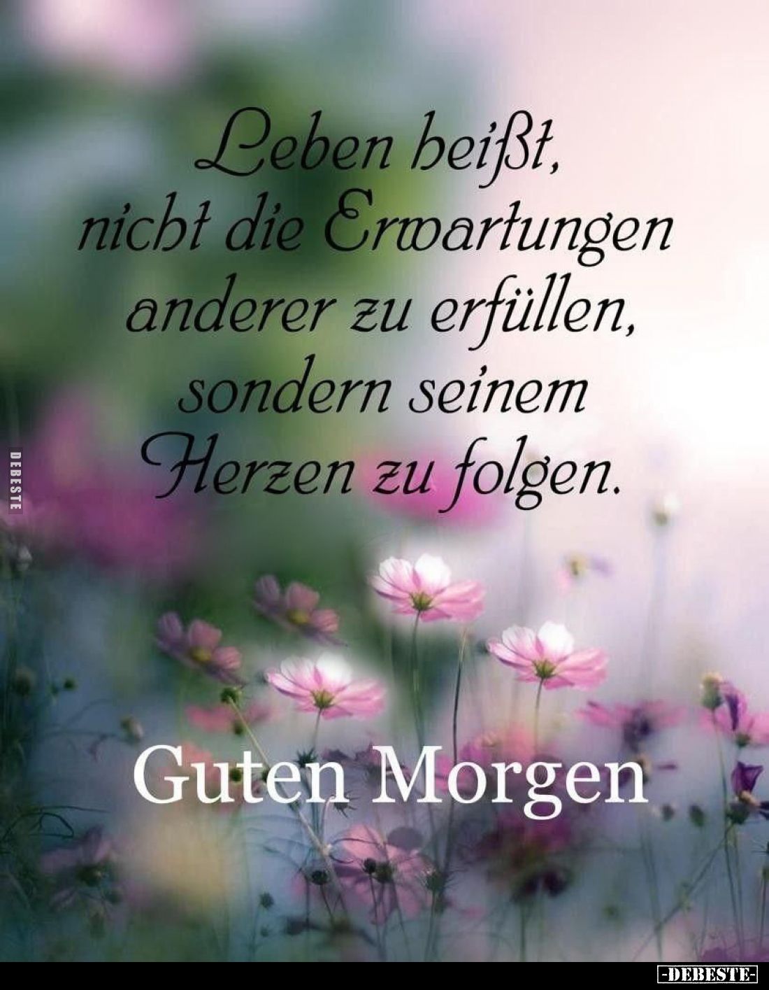 Leben beißt, nicht die Erwartungen anderer zu erfüllen, sondern seinem Herzen zu folgen.