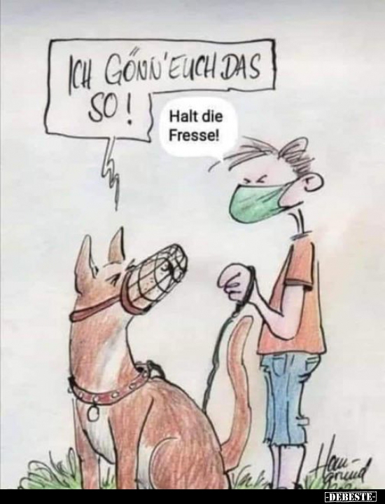 Ich gönn euch das so!..