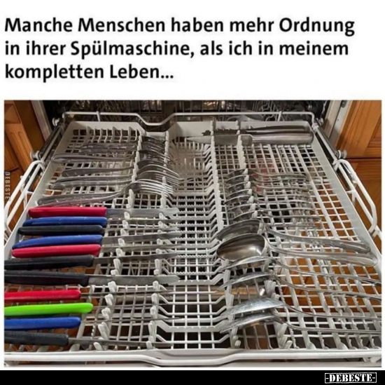 Manche Menschen haben mehr Ordnung in ihrer Spülmaschine.. - Lustige Bilder | DEBESTE.de