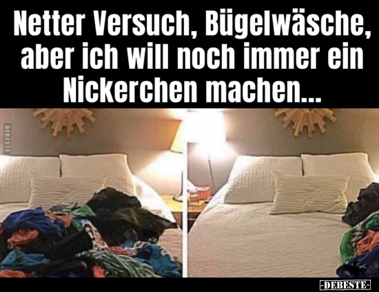 Netter Versuch, Bügelwäsche, aber ich will noch immer ein.. - Lustige Bilder | DEBESTE.de