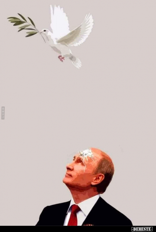  - Lustige Bilder | DEBESTE.de