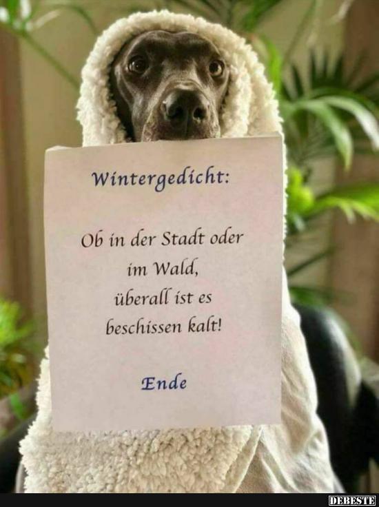 Wintergedicht.. - Lustige Bilder | DEBESTE.de