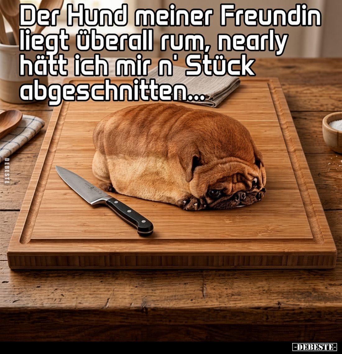 Der Hund meiner Freundin liegt überall rum, beinahe hätte ich mir n' Stück abgeschnitten....