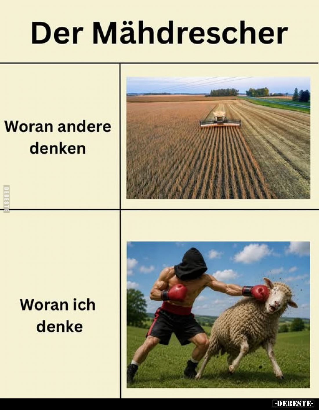 Der Mähdrescher
-
Woran andere denken
-
Woran ich denke