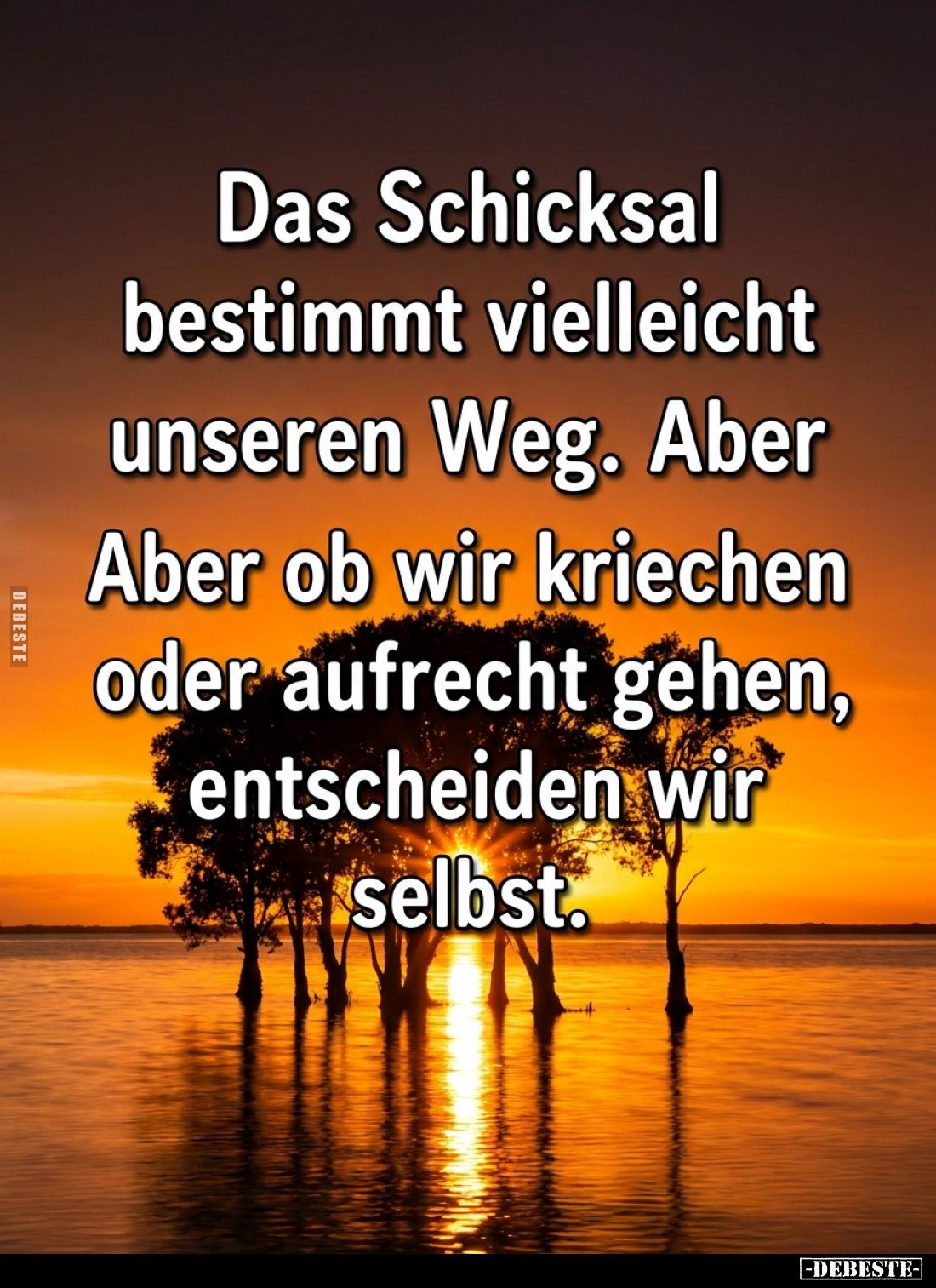 Das Schicksal bestimmt vielleicht unseren Weg.. - Lustige Bilder | DEBESTE.de