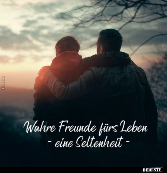 Wahre Freunde fürs Lehen - eine Seltenheit.. - Lustige Bilder | DEBESTE.de