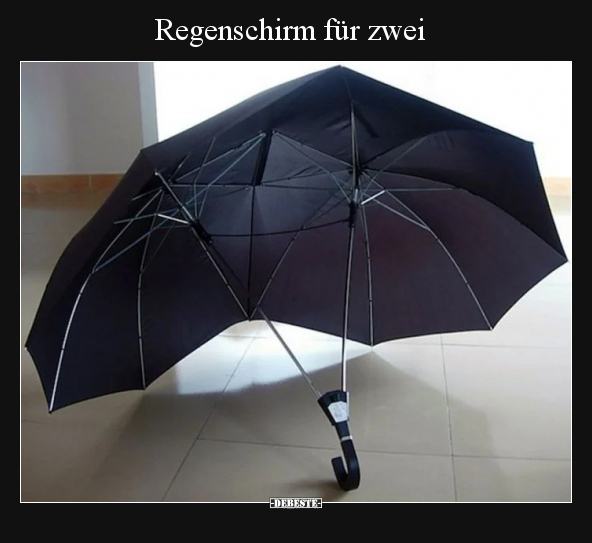 Regenschirm für zwei.. - Lustige Bilder | DEBESTE.de