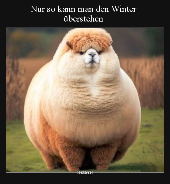 Nur so kann man den Winter überstehen.. - Lustige Bilder | DEBESTE.de