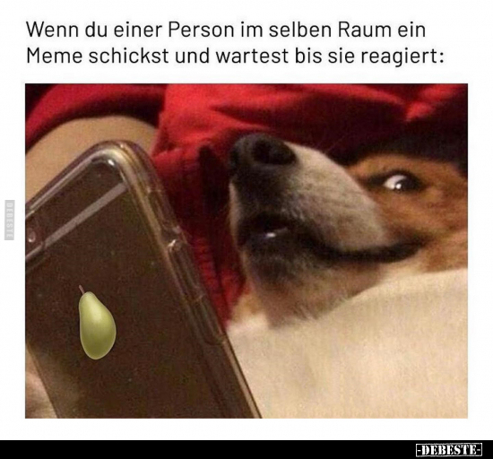Wenn du einer Person im selben Raum ein Meme schickst und.. - Lustige Bilder | DEBESTE.de