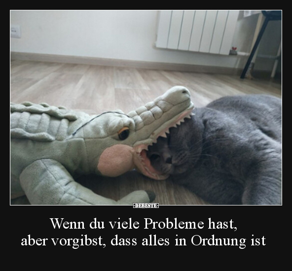 Wenn du viele Probleme hast, aber vorgibst, dass alles in.. - Lustige Bilder | DEBESTE.de