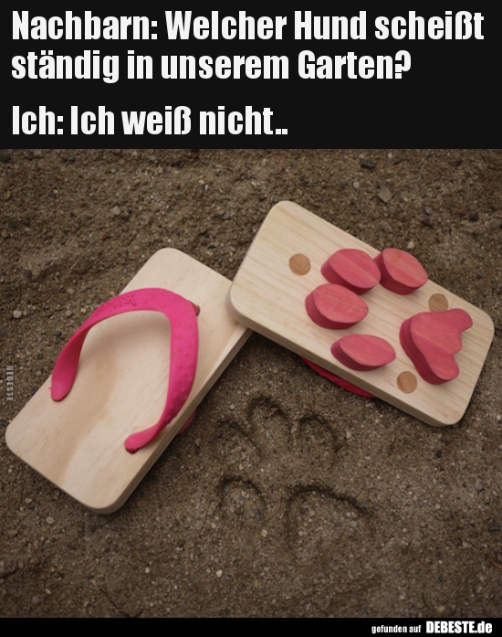 Nachbarn: Welcher Hund scheißt ständig...?