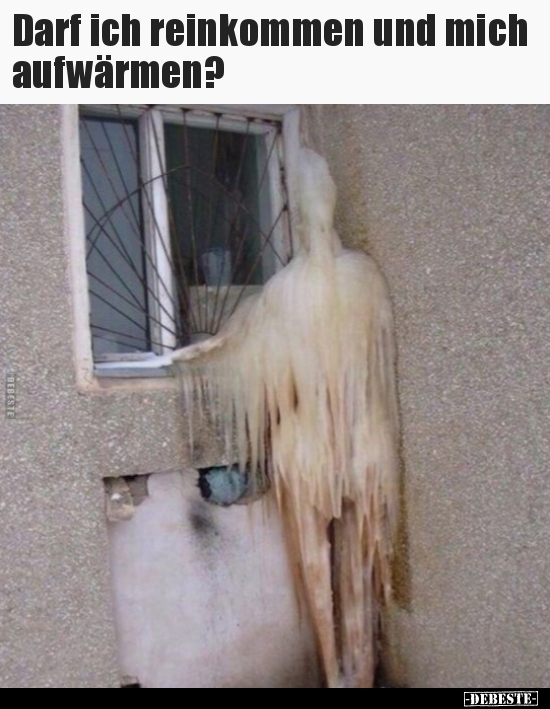 Darf ich reinkommen und mich aufwärmen?..