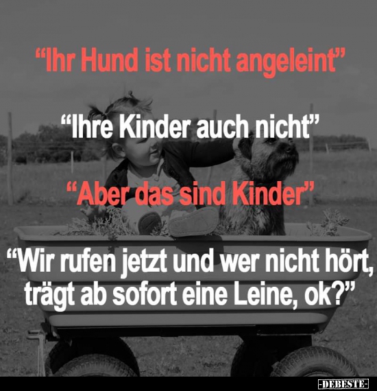 "Ihr Hund ist nicht angeleint.."