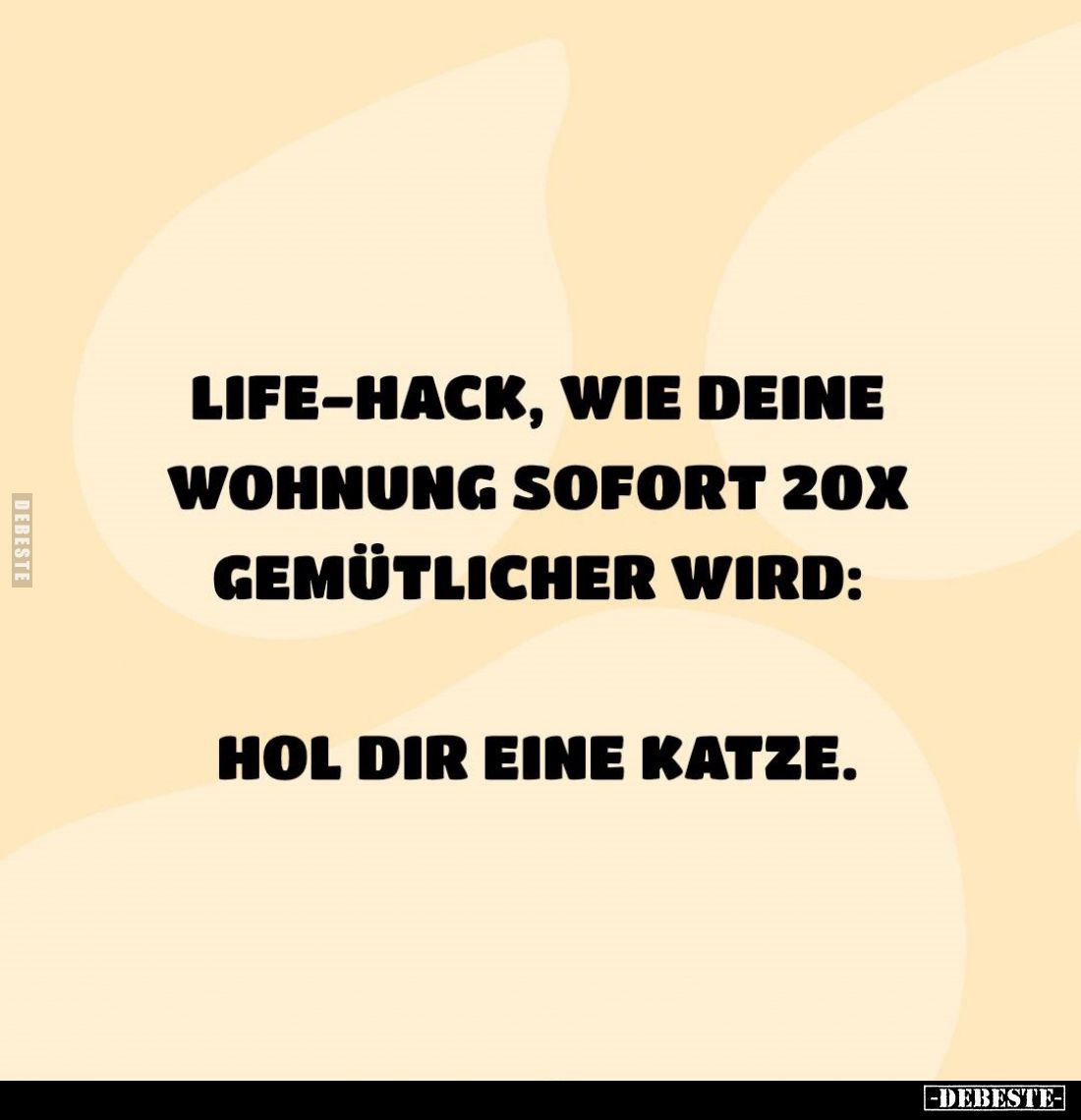 Life-Hack, wie deine Wohnung sofort 20x gemütlicher wird: Hol dir eine Katze.