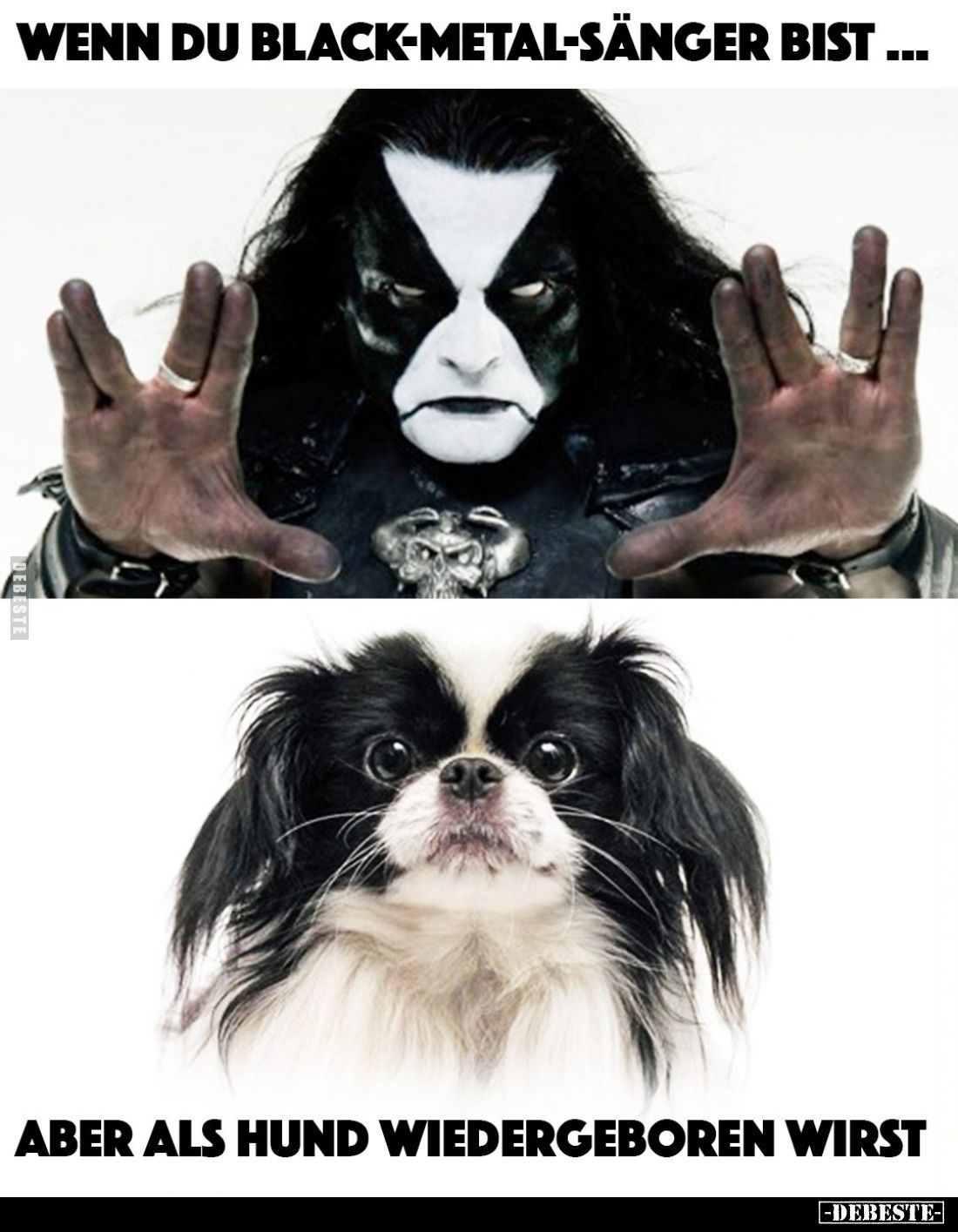 Wenn du Black-Metal-Sänger bist...
Aber als Hund wiedergeboren wirst.