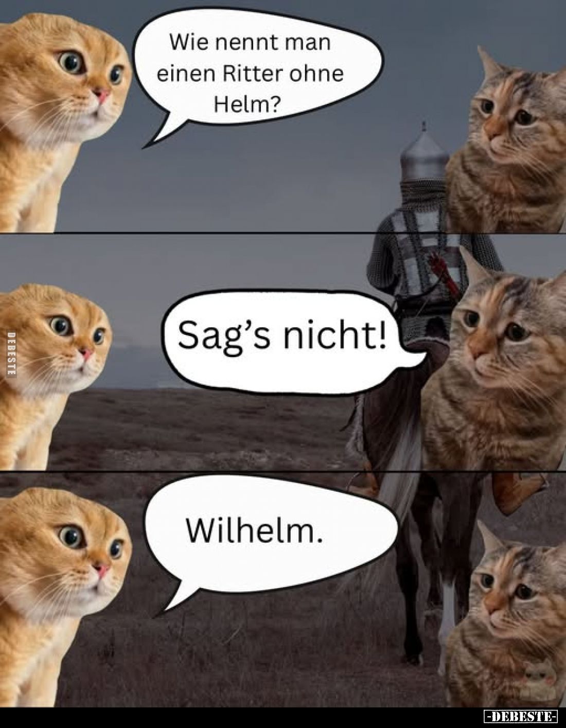 Wie nennt man einen Ritter ohne Helm?
Sag's nicht!
Wilhelm.