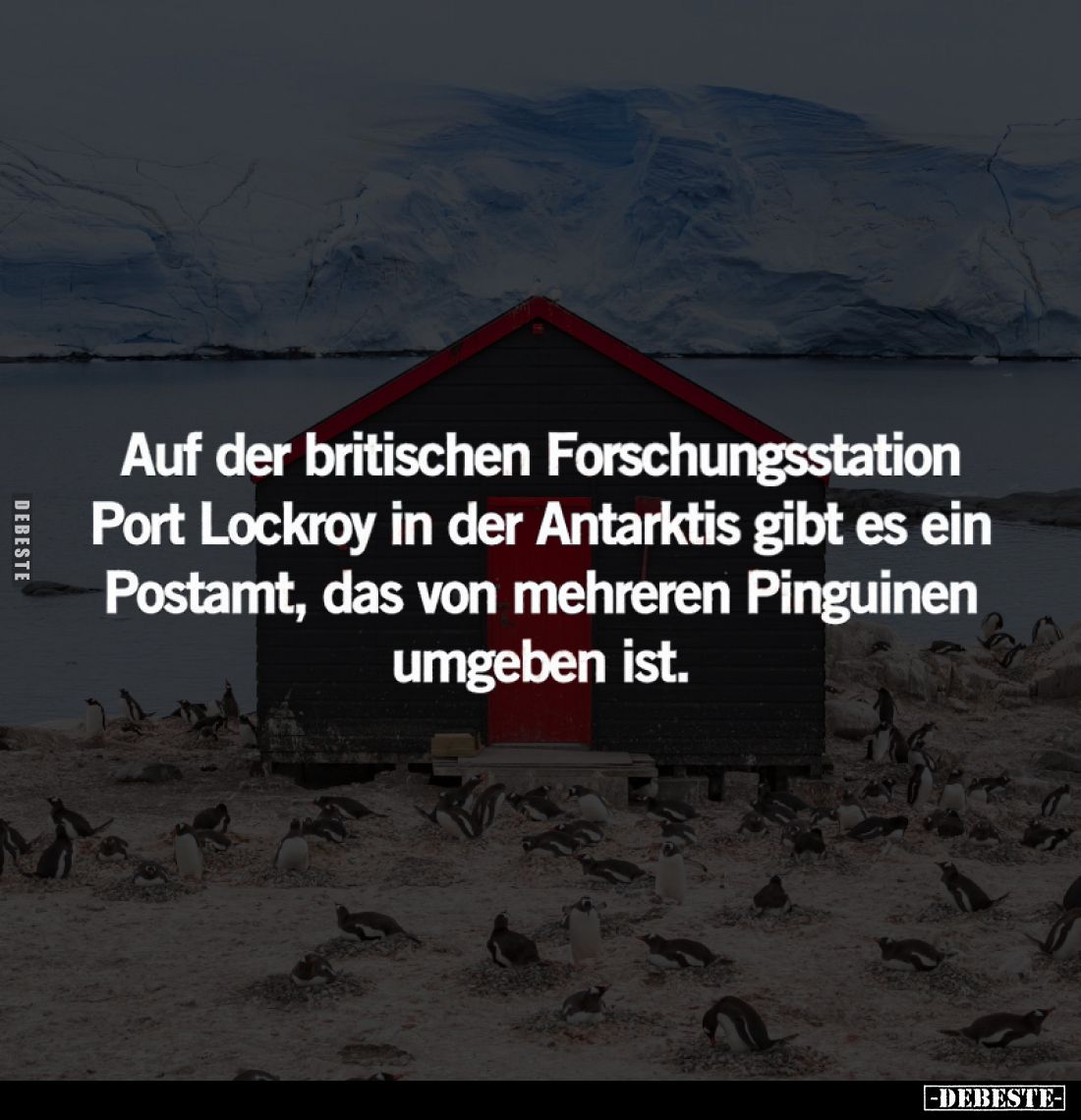 Auf der britischen Forschungsstation Port Lockroy in der Antarktis gibt es ein Postamt, das von mehreren Pinguinen umgeben is...