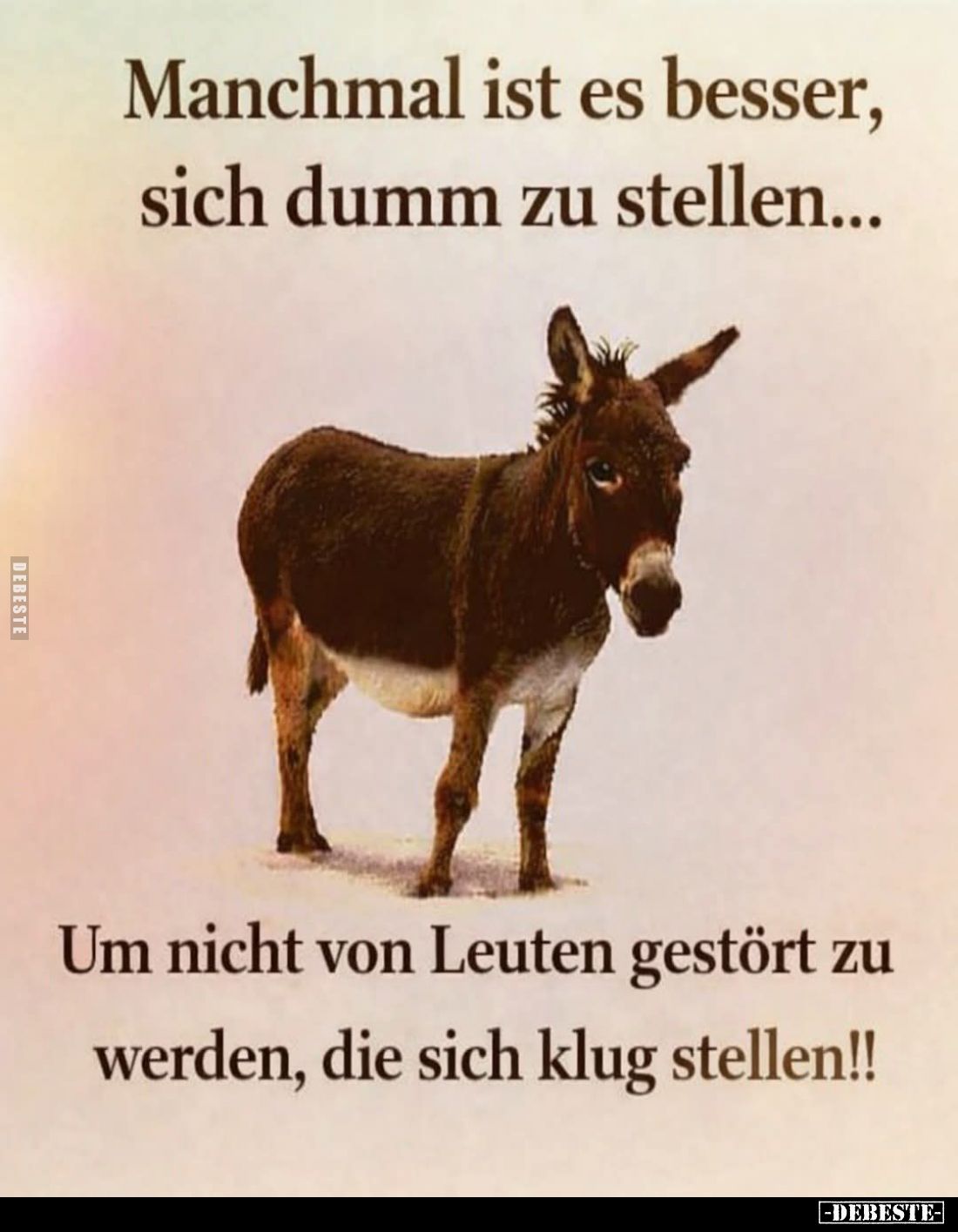 Manchmal ist es besser, sich dumm zu stellen...
Um nicht von Leuten gestört zu werden, die sich klug stellen!!